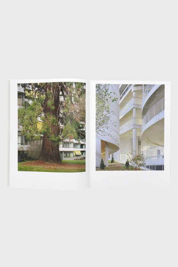 Analogue Images Gardner Delvaux